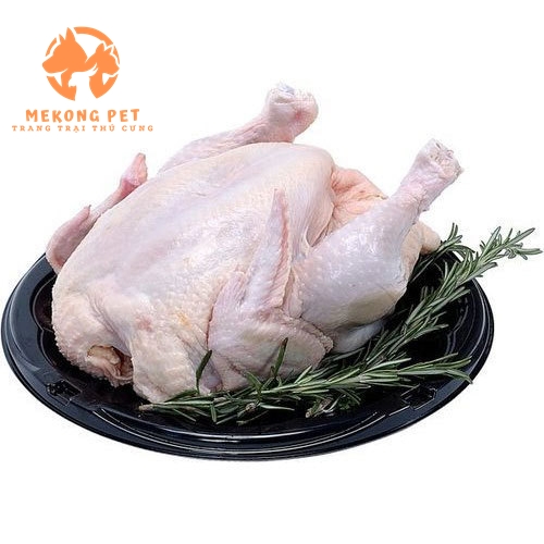 Mua Bán Gà Tây Thịt Tại TPHCM, Đồng Nai: Giá Cả Hợp Lý